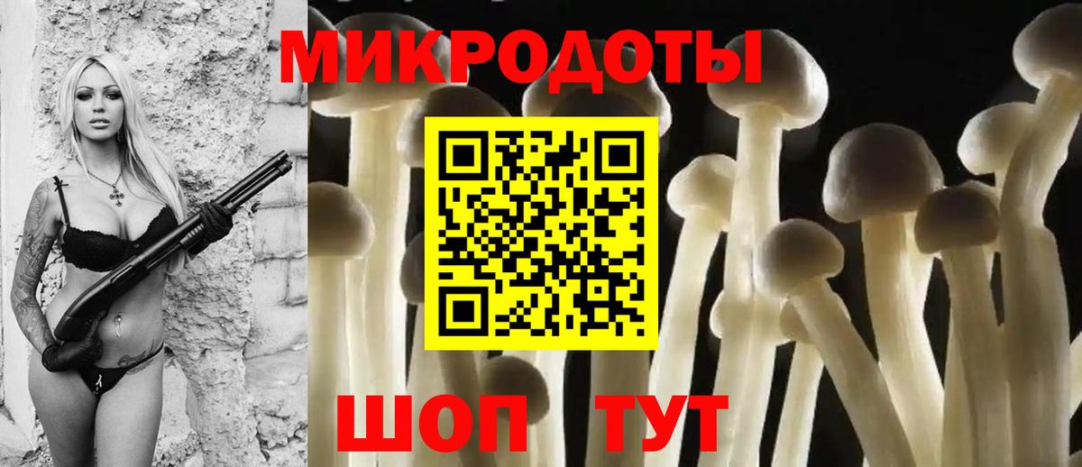 Псилоцибиновые грибы MAGIC MUSHROOMS Касимов