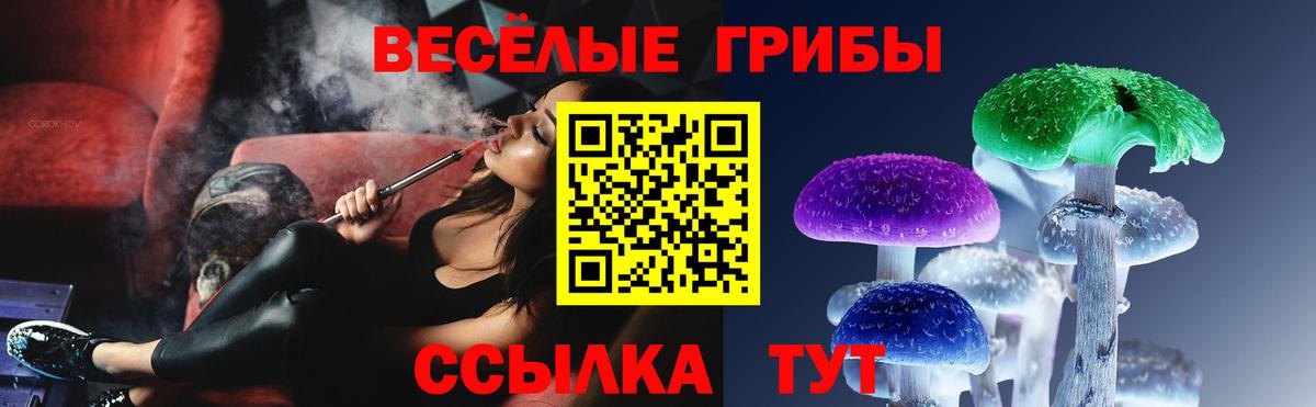 Псилоцибиновые грибы ЛСД  Вход с VPN  Касимов  Псилоцибиновые грибы мухоморы 